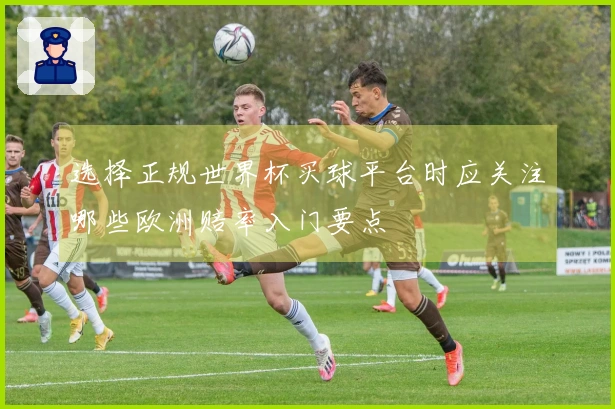 选择正规世界杯买球平台时应关注哪些欧洲赔率入门要点