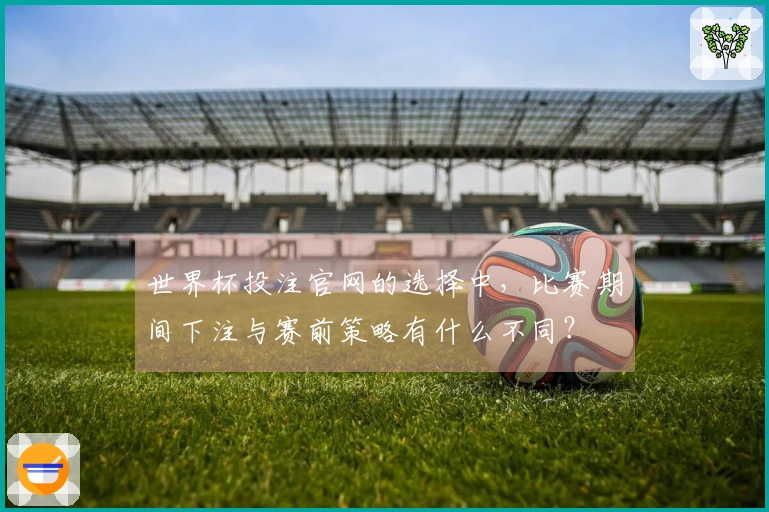 世界杯投注官网的选择中，比赛期间下注与赛前策略有什么不同？